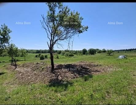 Građevinska parcela 1.200 m² + poljoprivredno zemljište 4.400 m² – Vižinada 1