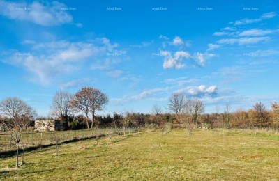 MARČANA! LOBORIKA - GRAĐEVINSKO ZEMLJIŠTE S MASLINIKOM I VOĆNJAKOM