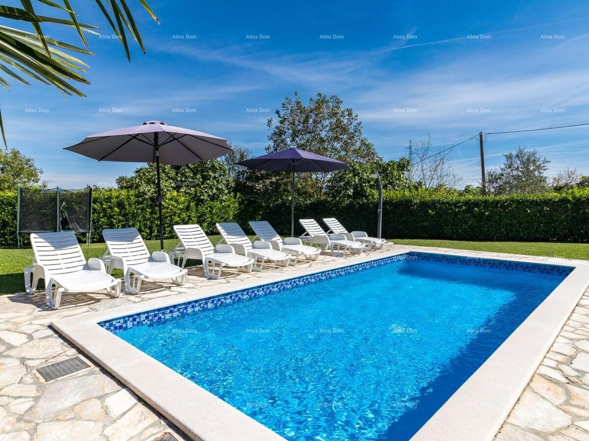 The translation of 13