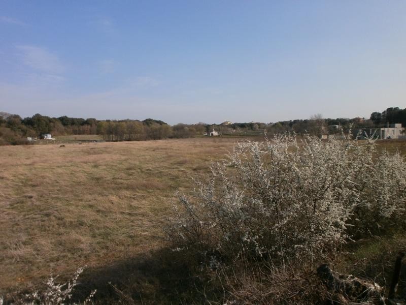 PULA - Grande terreno per la costruzione di una casa famigliare o la villa. 2