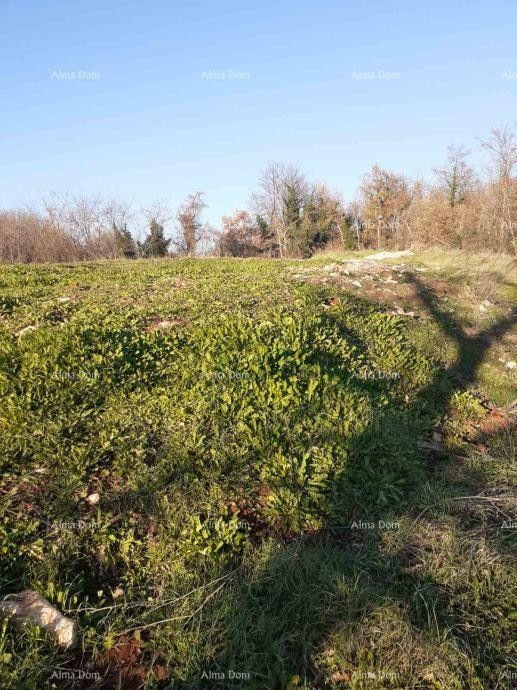 Prodaje se zemljište u Brtonigli (Istra) –građevinsko i   poljoprivredno, ukupne površine 5.000 m² 1