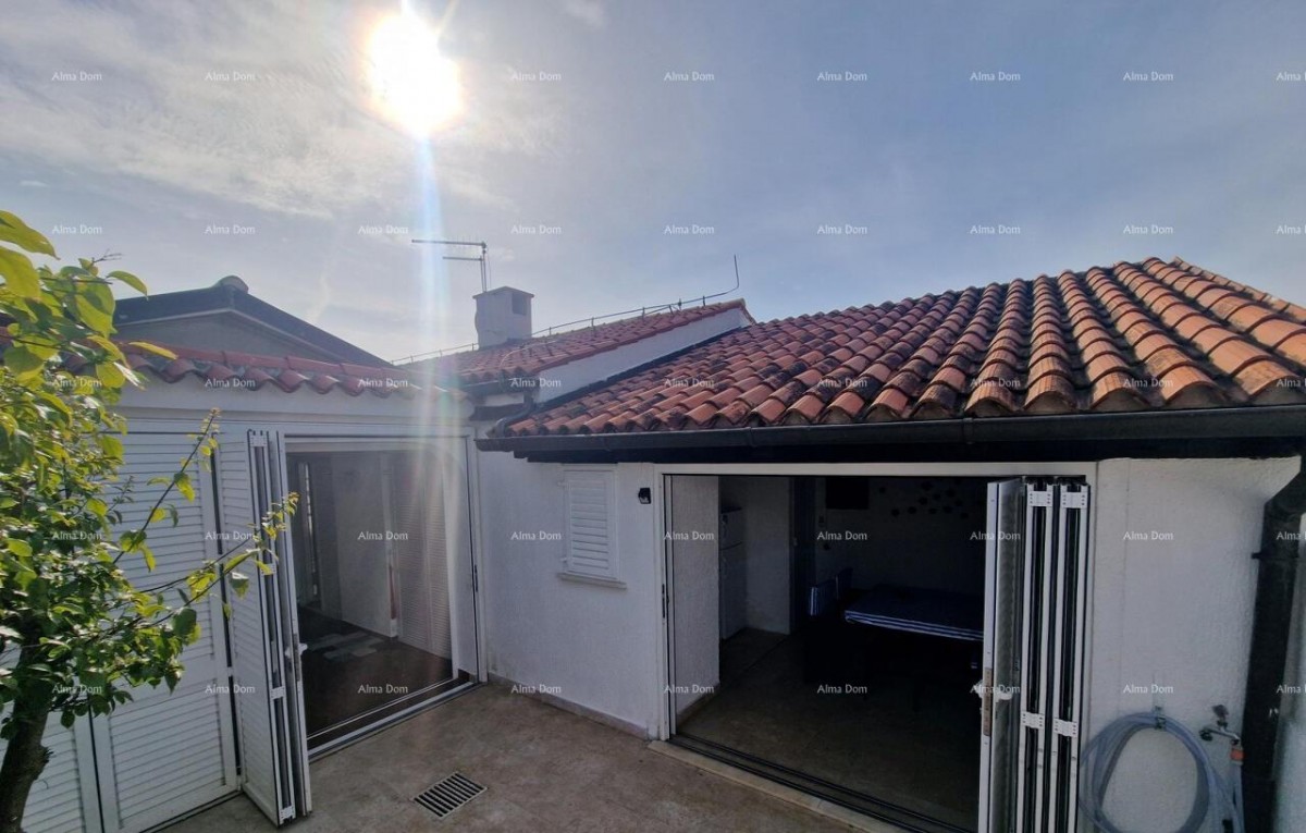 The translation of the title 1