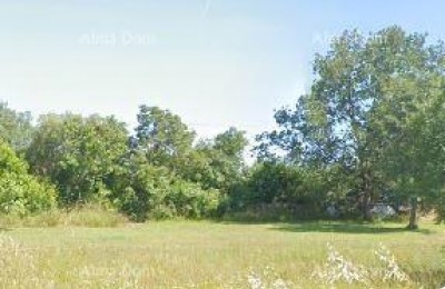 Строительная земля 650 м², Шеготичи