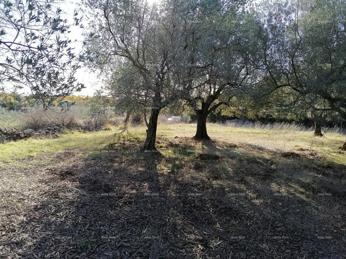 Zemljišče Vodnjan 4