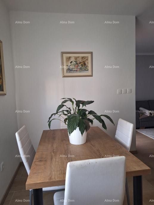 UMAG – stan u centru, 300 m od mora 3