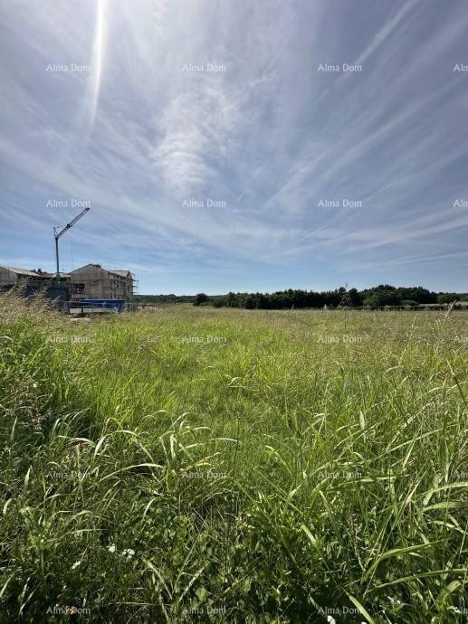 Prodaje se građevinsko zemljište, 5832m2, Barban 3