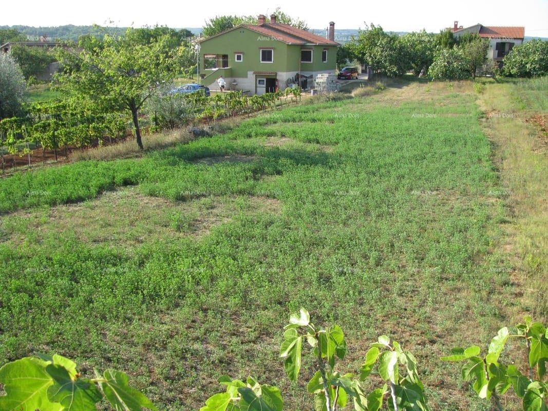 BARBAN - Prodaje se građevinsko zemljište,1329 m2 / 300 m od centra 2