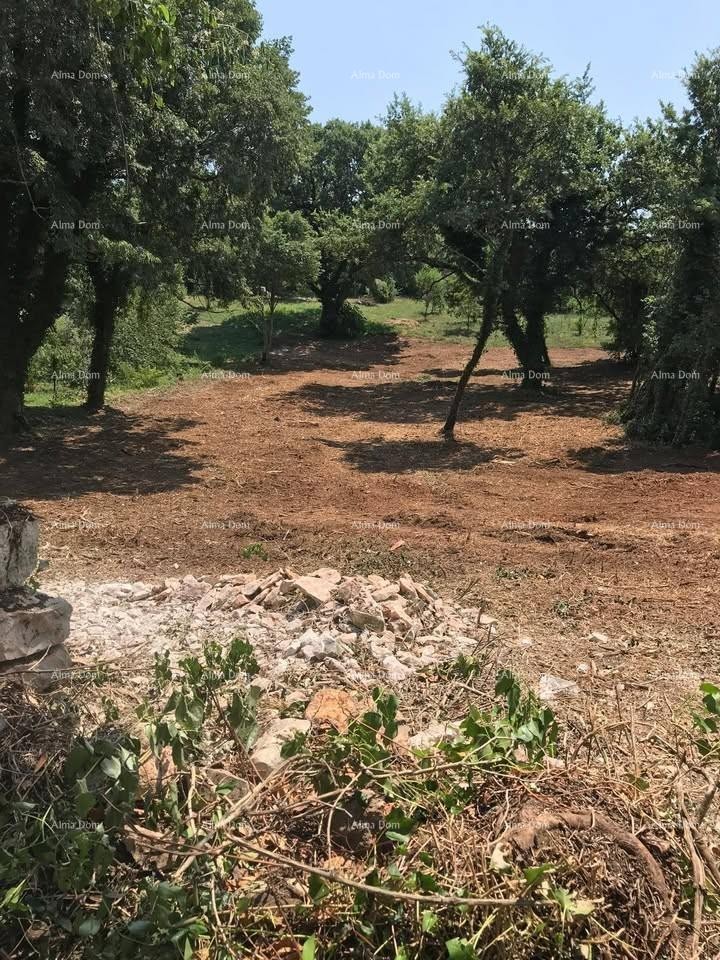 Terreno edificabile 1.137 m² – Filipana 3