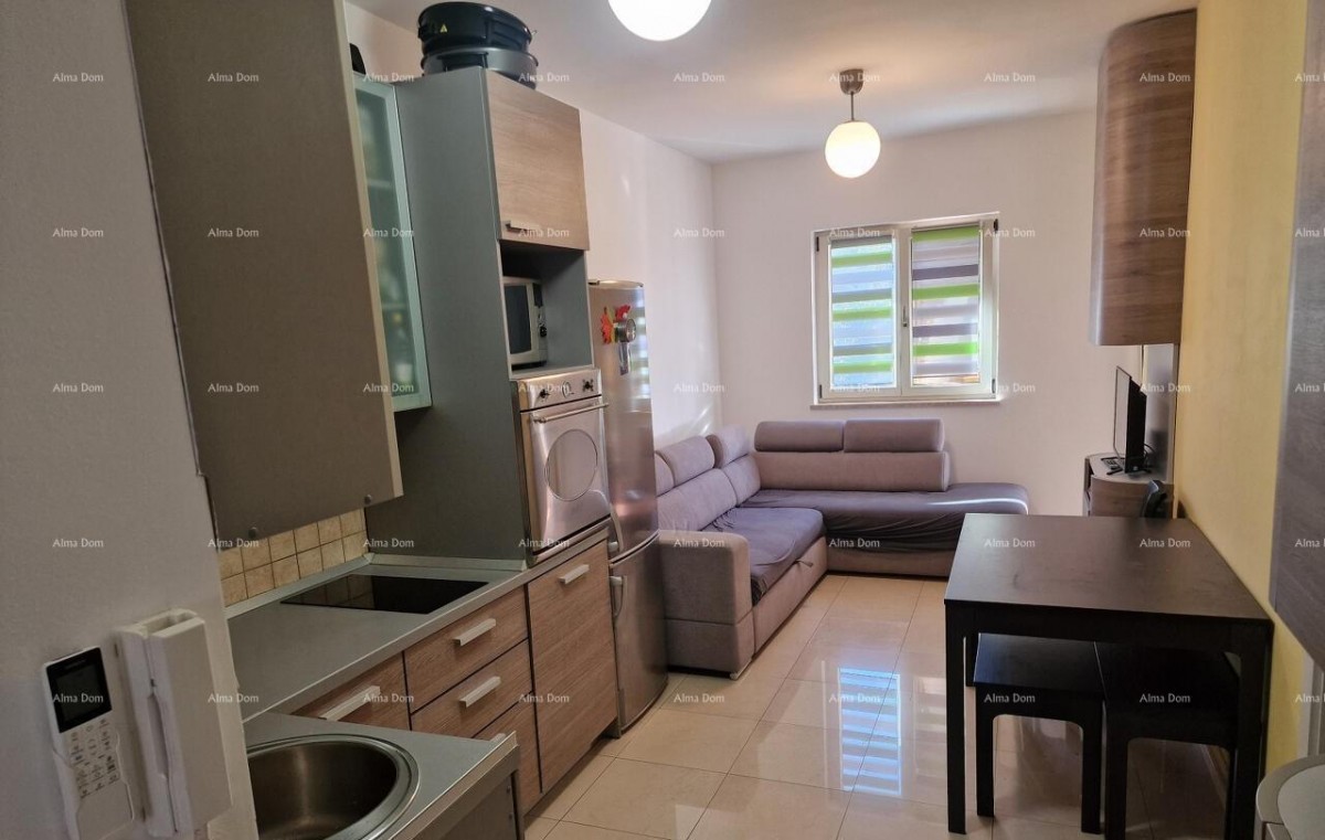 Appartamento Novigrad 14