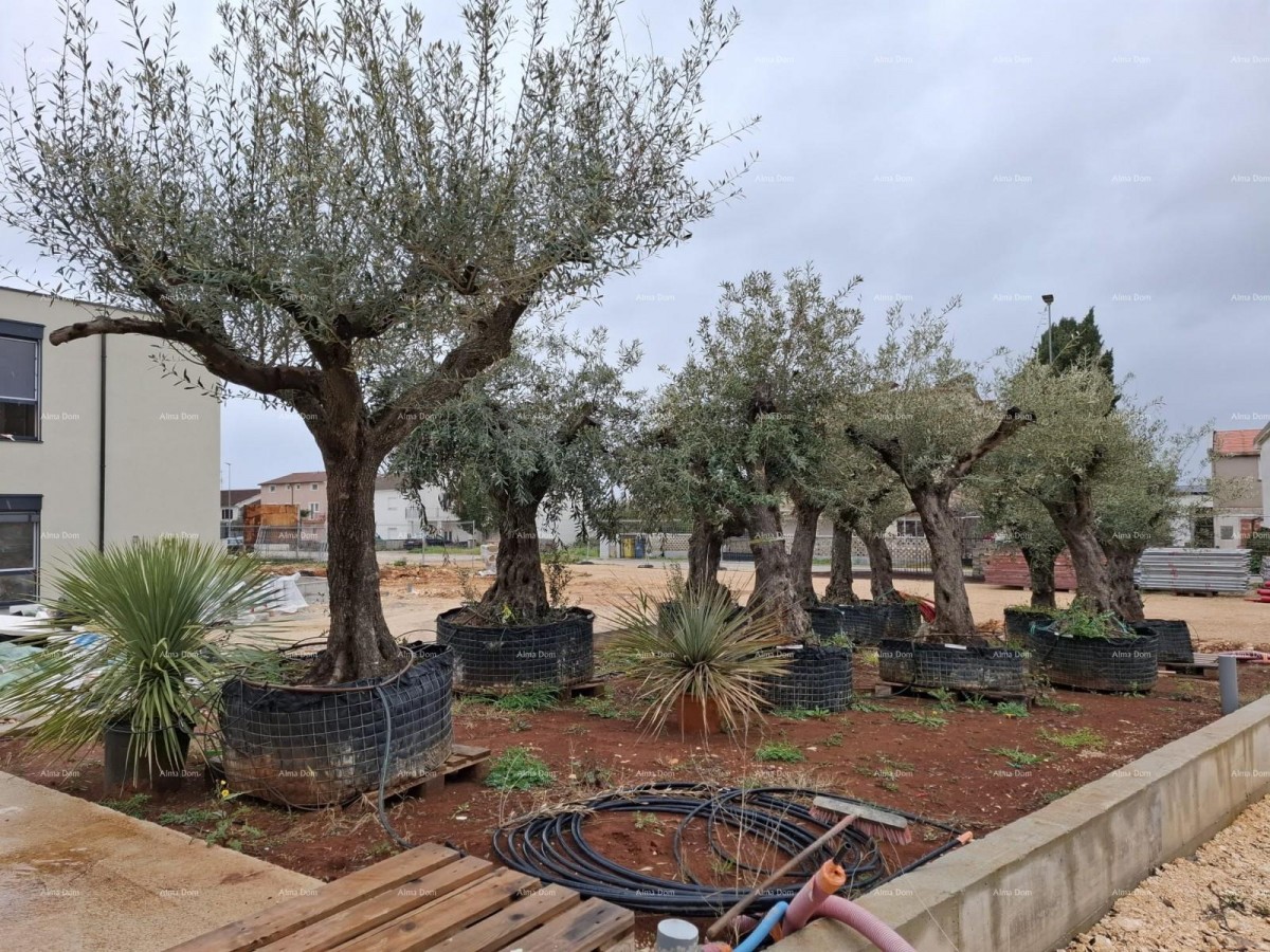 Apartments for sale in a new business-residential project, Poreč, C302-building C 26