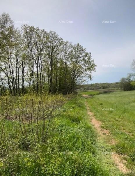 In vendita terreno edificabile con progetto – Barban (1.010 m²) 4