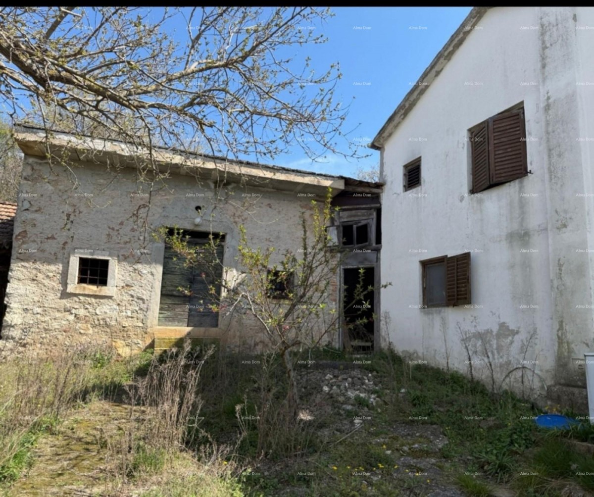 RAŠA, STARINA S VELIKOM OKUĆNICOM 12