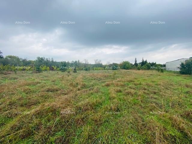 Строительная земля в промышленной зоне, Банёле! 2