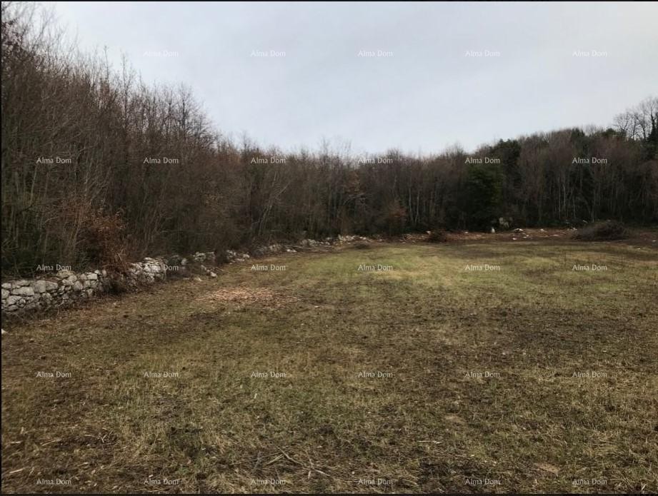 Građevinsko zemljište na ulazu u Pićan! 4