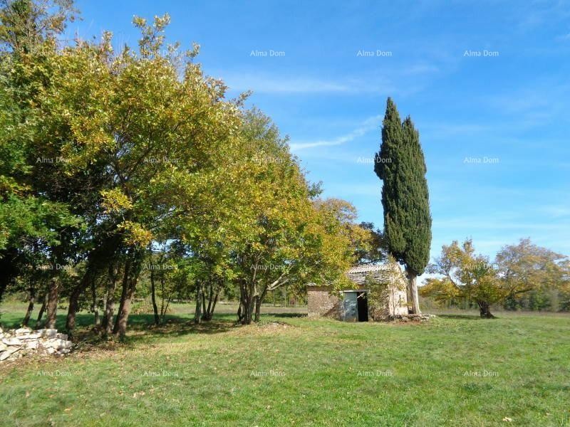 Građevinsko zemljište, Žminj. 60 EURA M2. 2