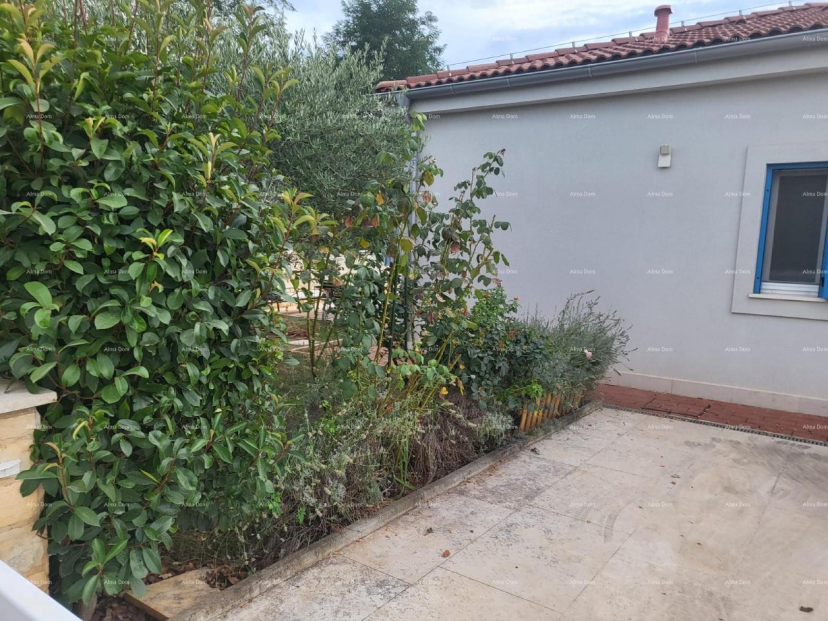 Cittanova, casa a un piano con piscina 6