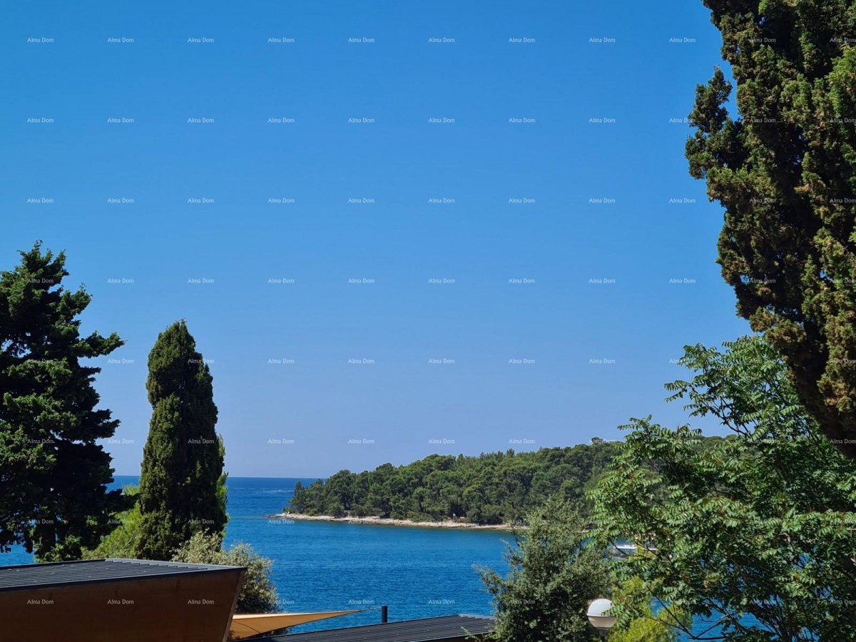 Дом для адаптации с большим участком! Ровинь, Портон Биони. 1