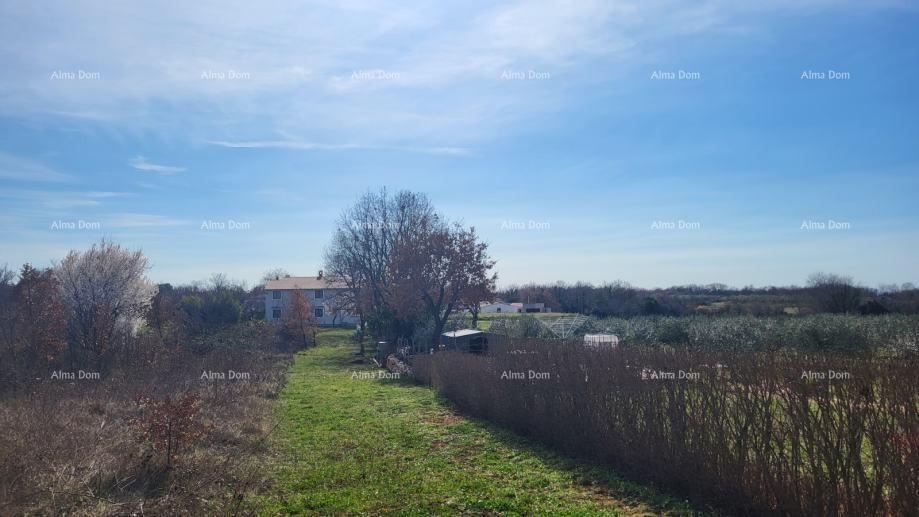 Привлекательный участок под застройку недалеко от Пореча 1