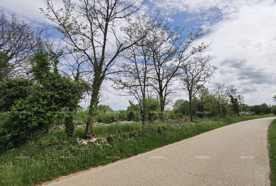 Продается земельный участок, Вишнян. Идеально для строительства 20 домов для отдыха. 6