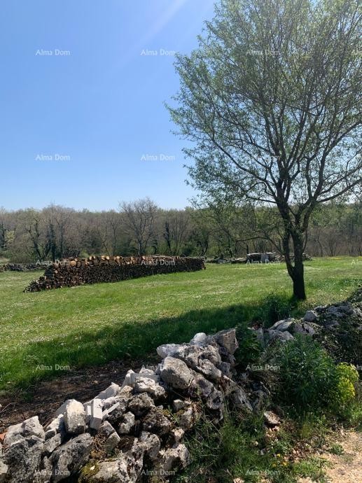 Građevinsko zemljište 785 m2 u okolici Višnjana – projekt za vilu s bazenom 2