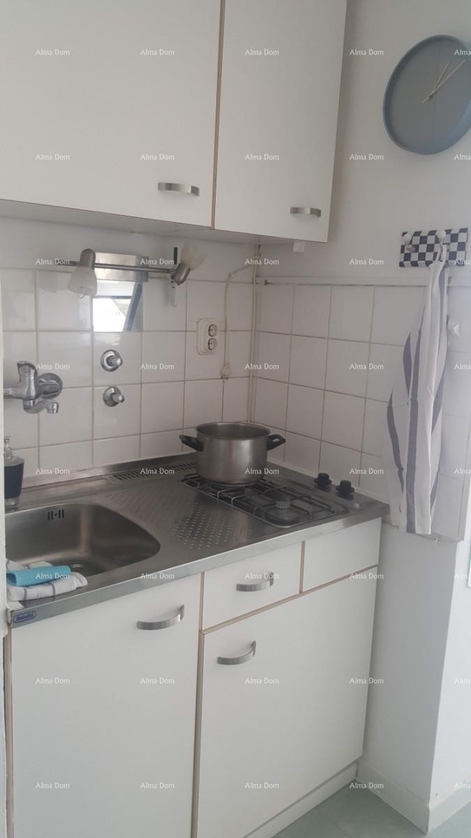 Apartment Novigrad 13