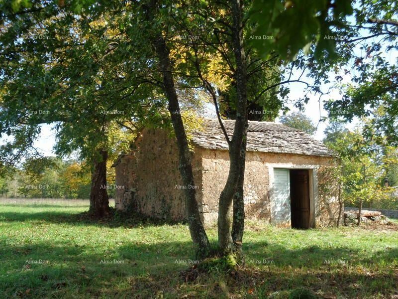 Građevinsko zemljište, Žminj. 60 EURA M2. 3