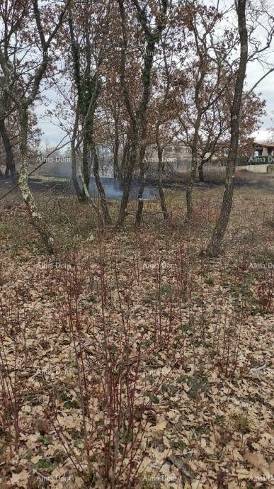 Участок под застройку, 2