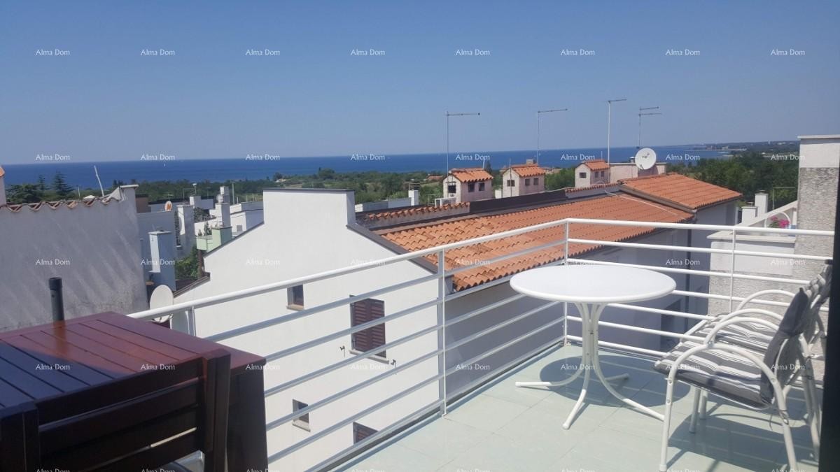 Apartment Novigrad 1
