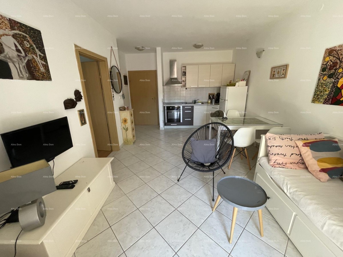 PEROJ - Ground floor apartment with garden and parking near the sea 1