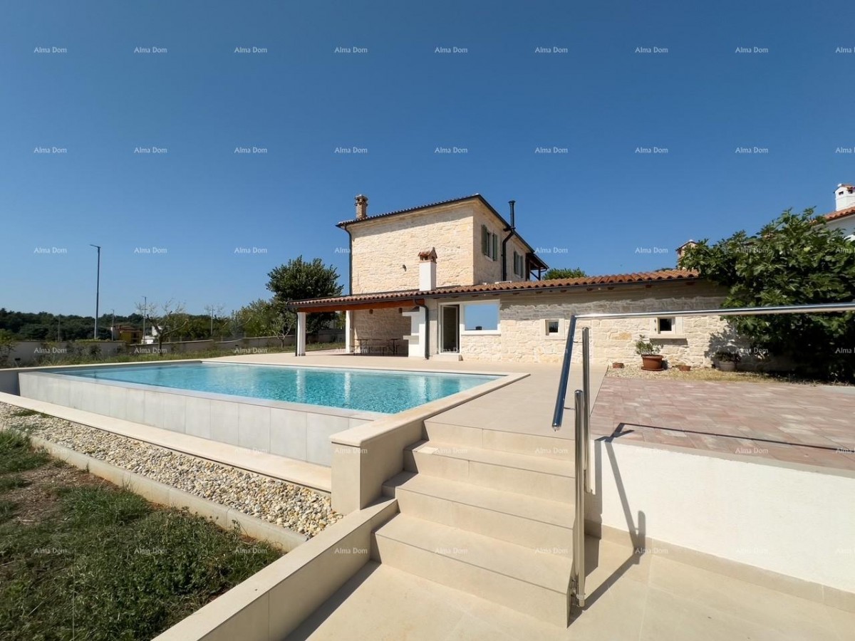 Редкость на рынке!   Istra  Barban 1