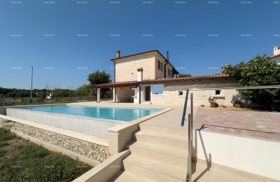 Редкость на рынке!   Istra  Barban