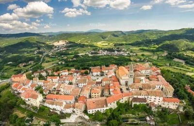 Buzet, gradbeno zemljišče 10.300 m2 za stanovanjsko rabo