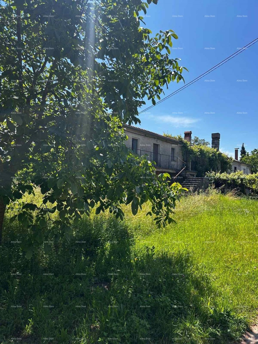 Prodaja kuće sa  stajom i zemljištem u blizini Barbana! 7