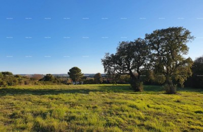 Prodaja kmetijskega zemljišča, Pula, Montešerpo
