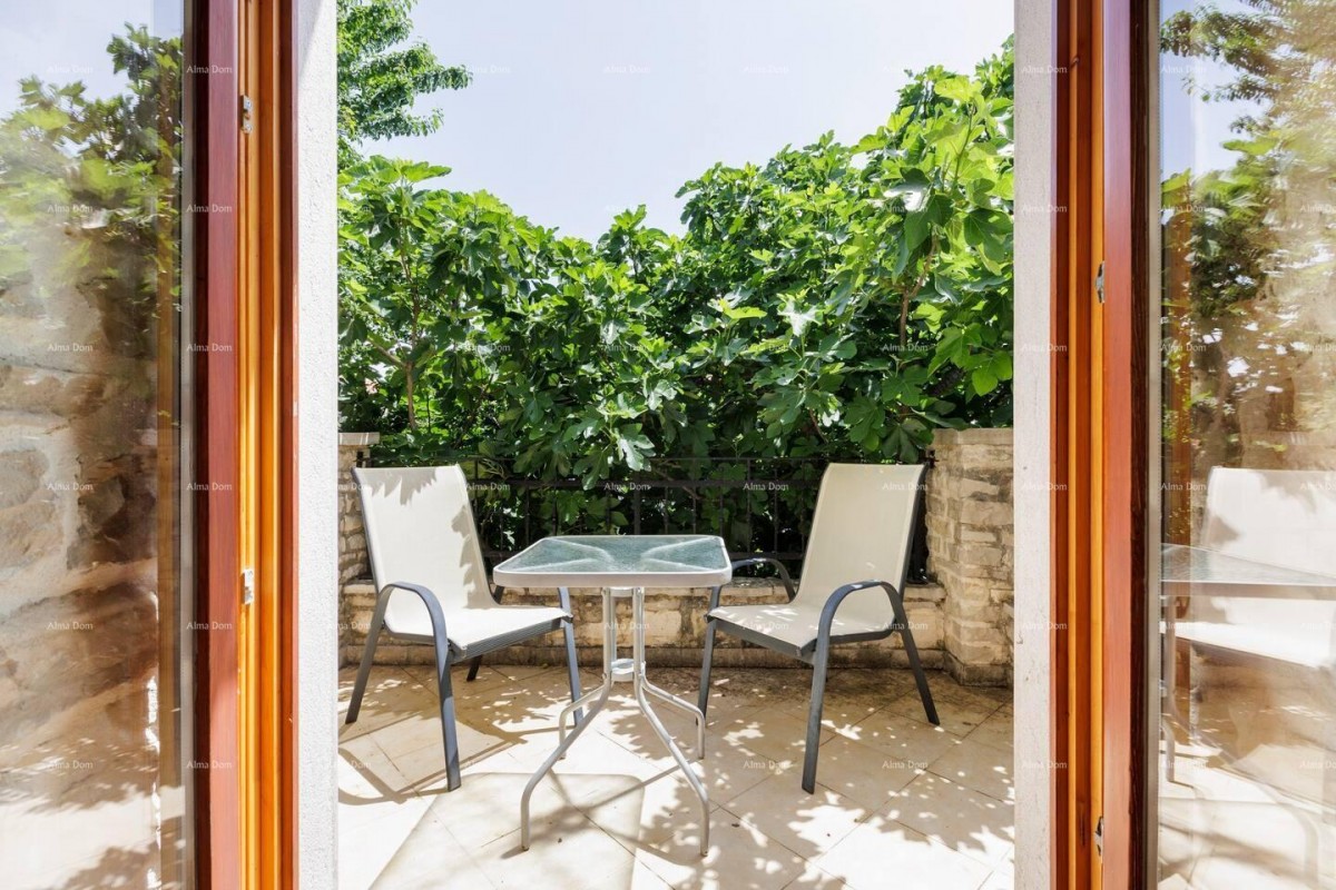 Marčana. Two stone houses with a swimming pool. 8