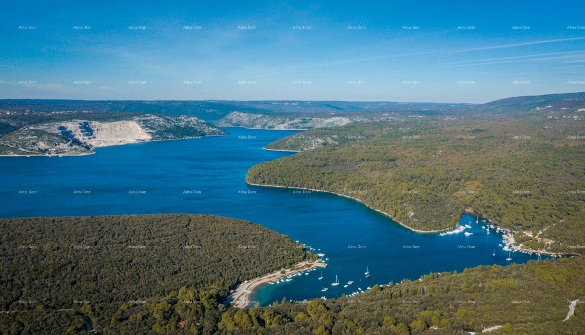 BARBAN - Gradbeno zemljišče + veliko kmetijsko zemljišče z razgledom na morje 1