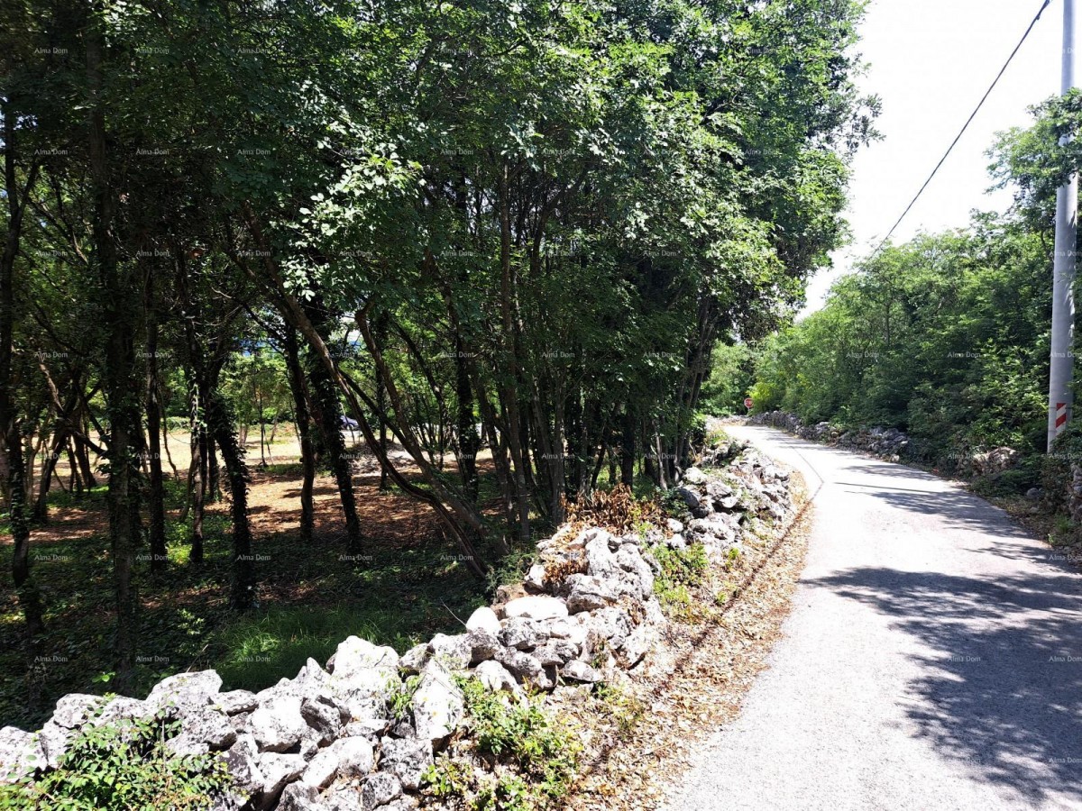 Zemljišče Marčana 1