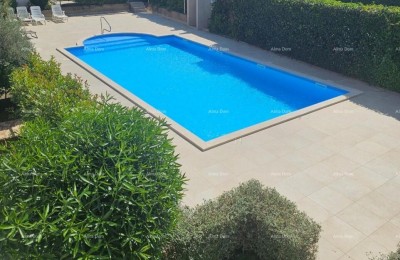 Prodajem 2-soban stan sa zajedničkim bazenom, Umag