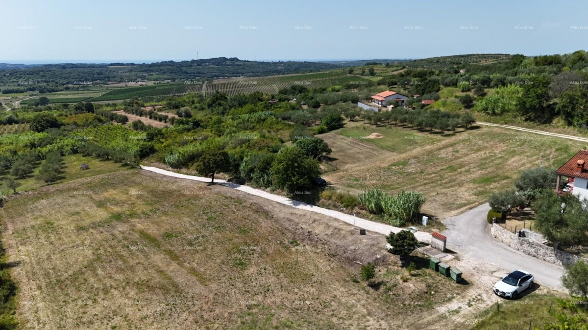 Prodaja građevinskih parcela sa pogledom na more, za izgradnju stambenih objekata, Buje! 7