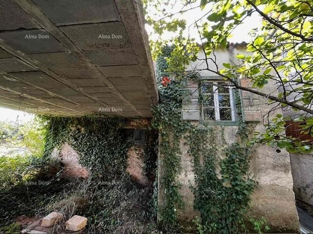 An old Istrian house for sale with a large building plot, Valbandon 4