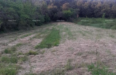 Land for sale in Banjole