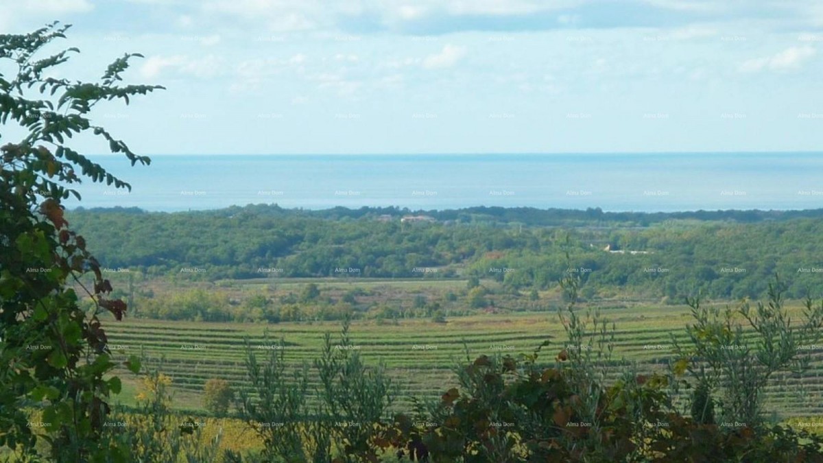 Buje – terreno attraente con vista mare 2