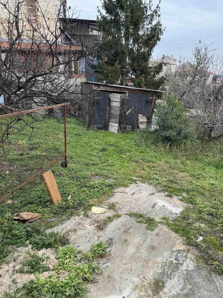 A house with a yard near the center, Buje! 27